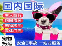 昆冈机场快运国际宠物托运 【国